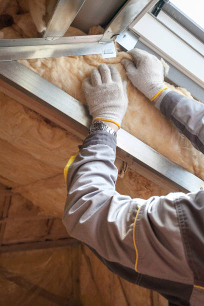 Best Geographic-Specific Insulation Services in Westlake Corner, VA